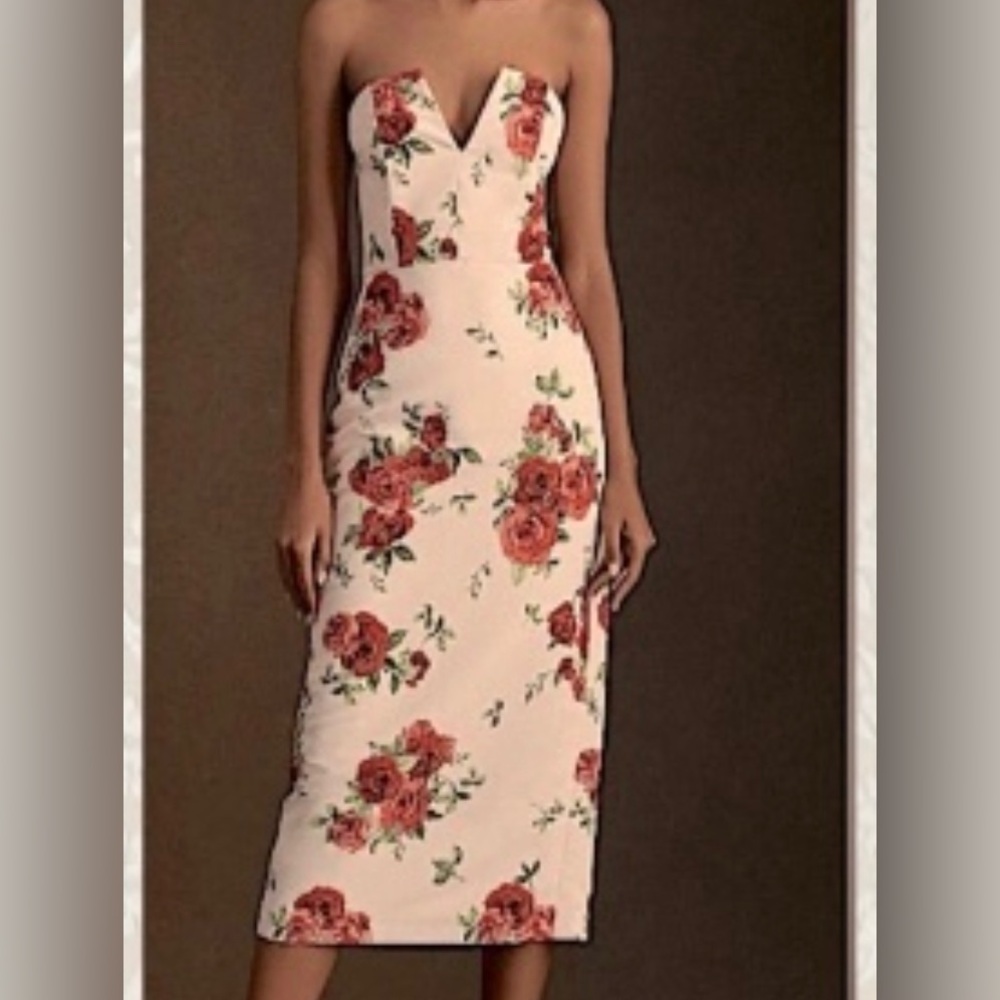 Sachin + Babi Strapless Floral Midi Dress in Blush and Red